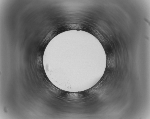 X0000096400473200802141522