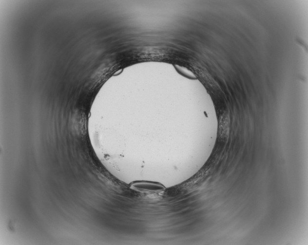 X0000096400474200802141522