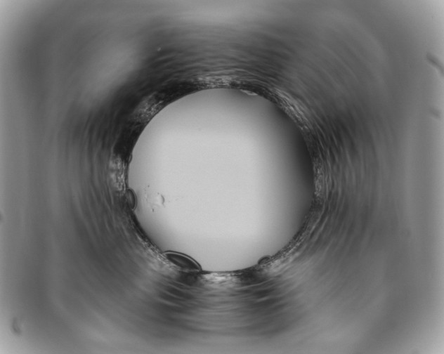 X0000096400477200802141522