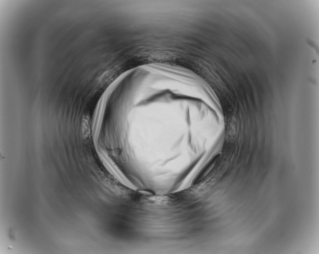 X0000096400478200802141522