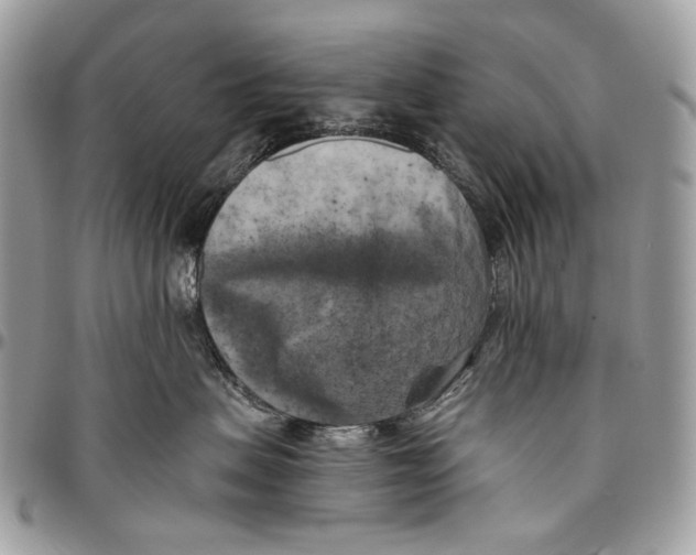 X0000096400479200802141522