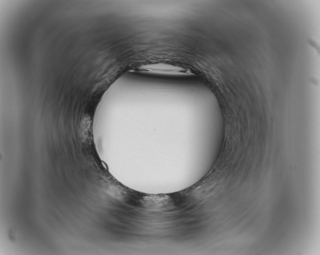 X0000096400480200802141522