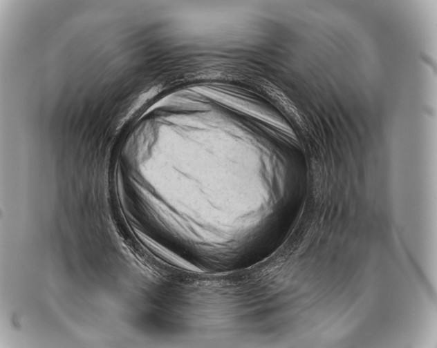 X0000096400482200802141522