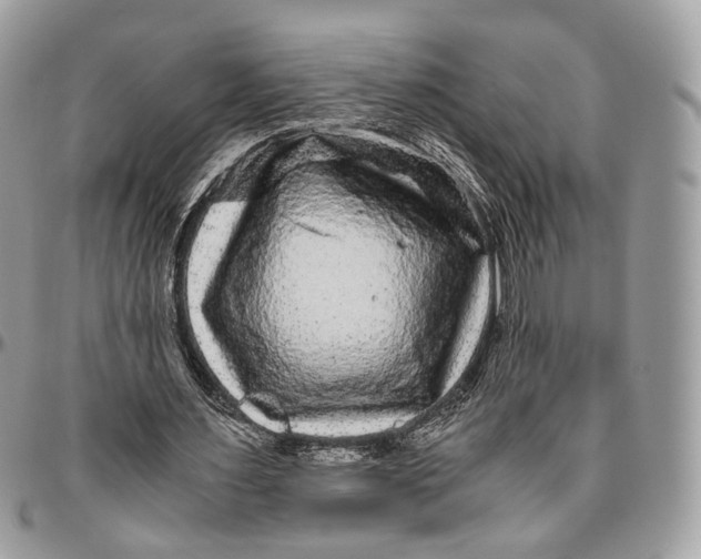 X0000096400483200802141522