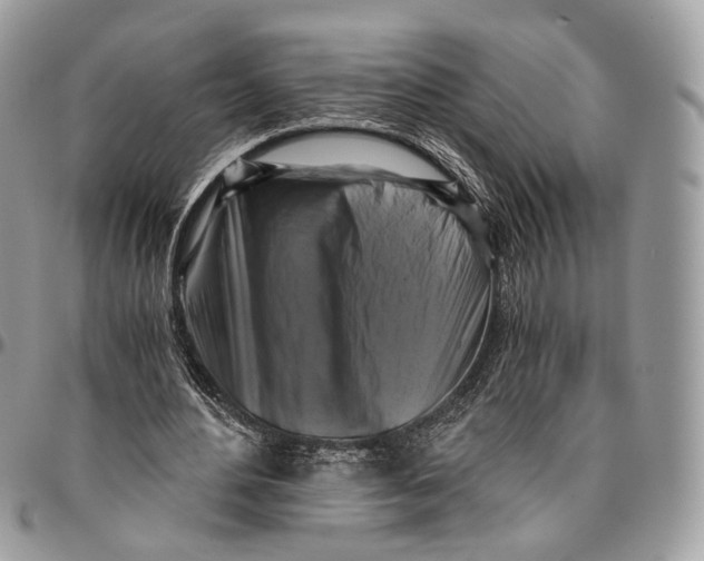 X0000096400484200802141522