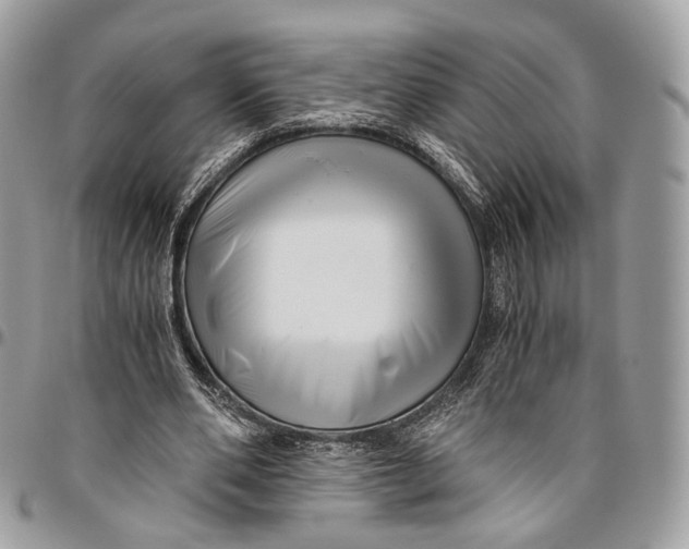 X0000096400486200802141522