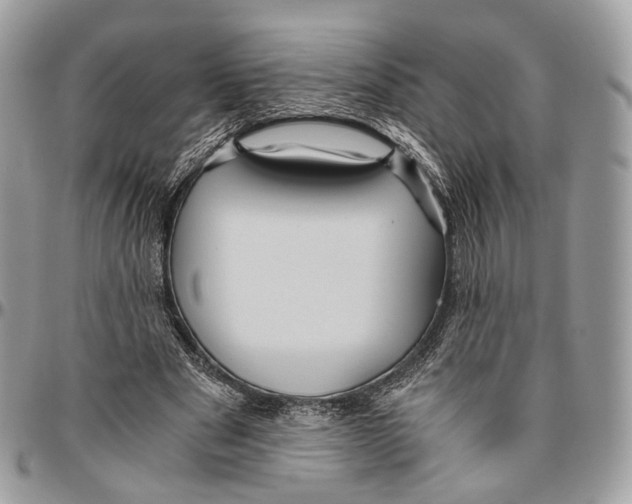 X0000096400489200802141522