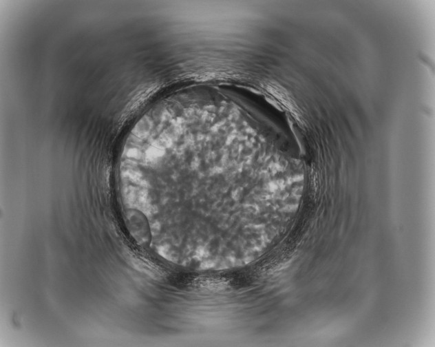 X0000096400491200802141522