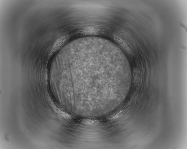 X0000096400494200802141521