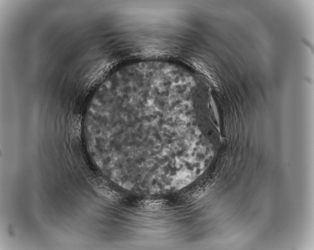 X0000096400495200802141521