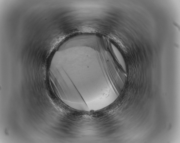 X0000096400496200802141521