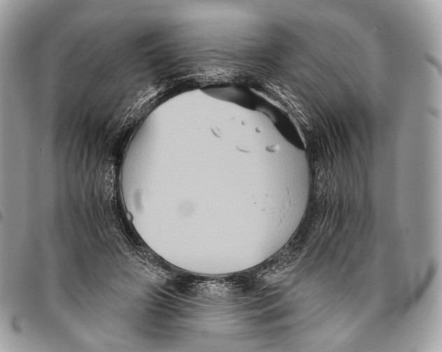 X0000096400498200802141521