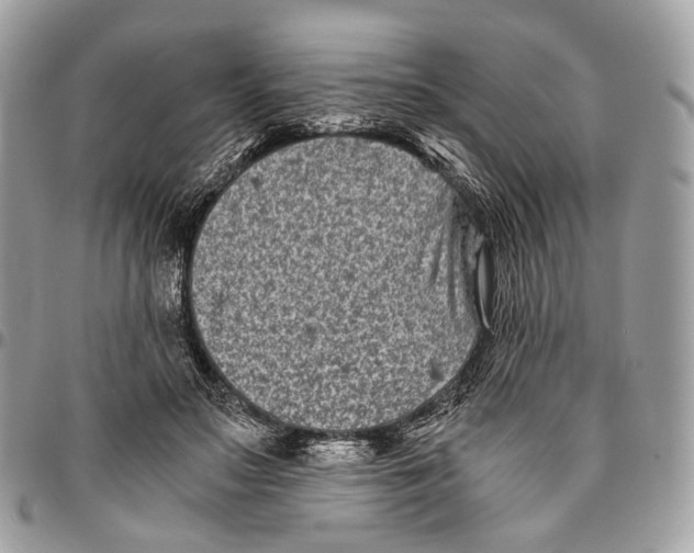 X0000096400499200802141521