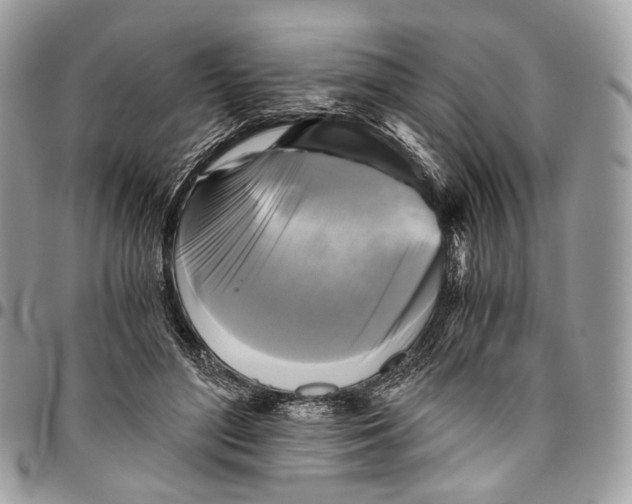 X0000096400500200802141521