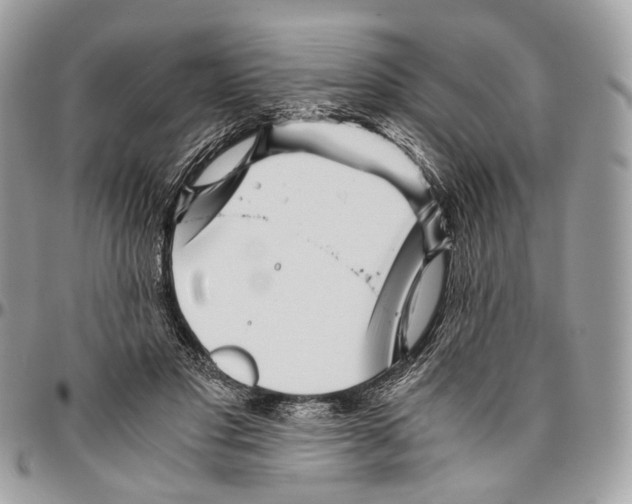 X0000096400501200802141521