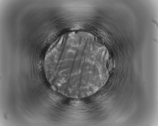 X0000096400503200802141521