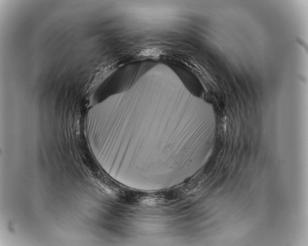 X0000096400504200802141521