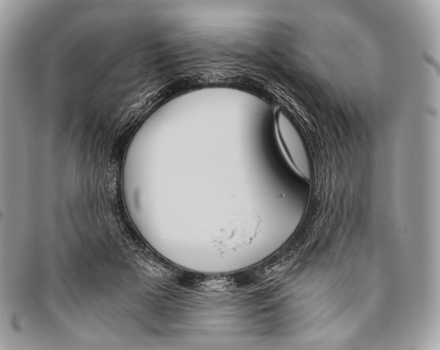 X0000096400505200802141521