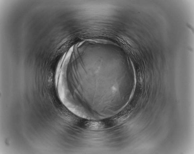 X0000096400507200802141521