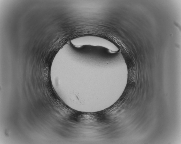 X0000096400509200802141521