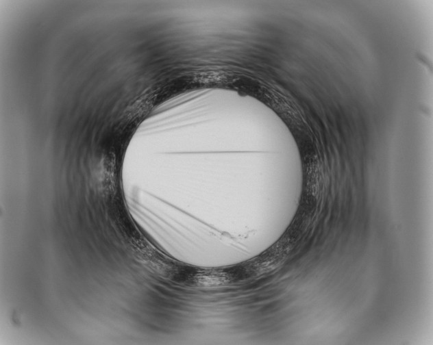 X0000096400510200802141521