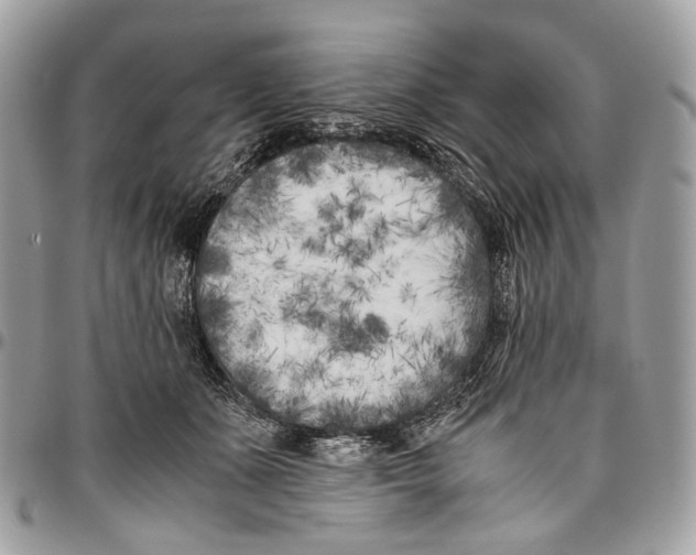 X0000096400511200802141521