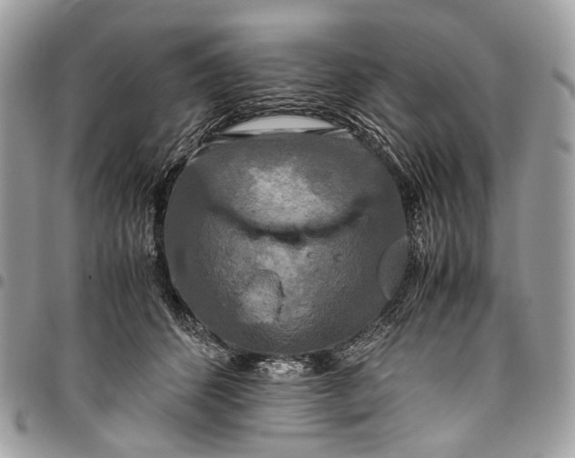 X0000096400512200802141521