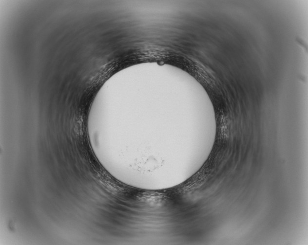 X0000096400514200802141521