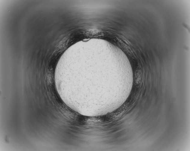 X0000096400515200802141521