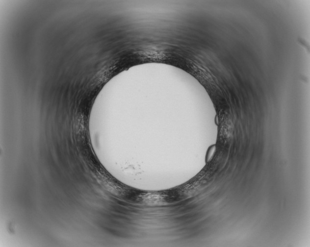 X0000096400518200802141521