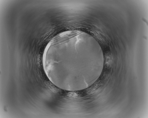 X0000096400519200802141521