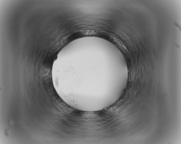 X0000096400521200802141521