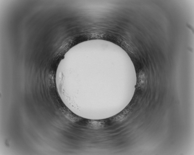 X0000096400522200802141521