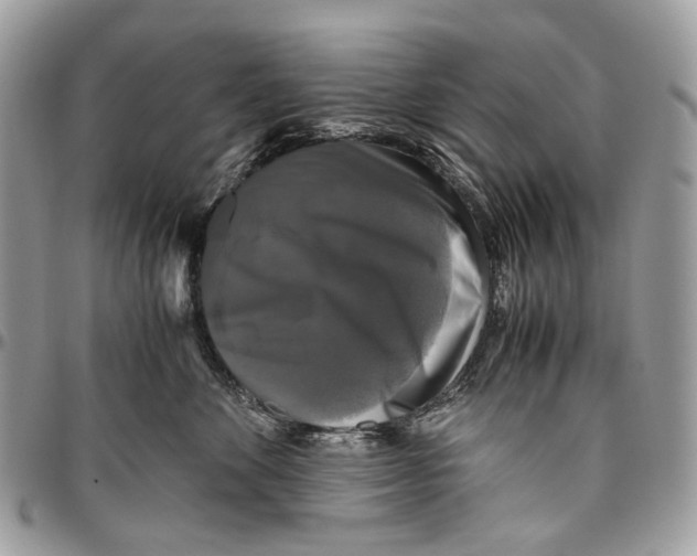 X0000096400524200802141521