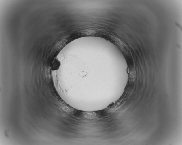 X0000096400525200802141521