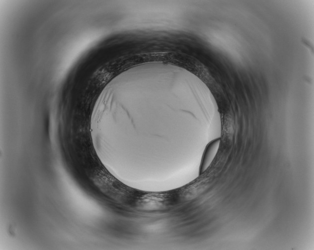 X0000096400526200802141521