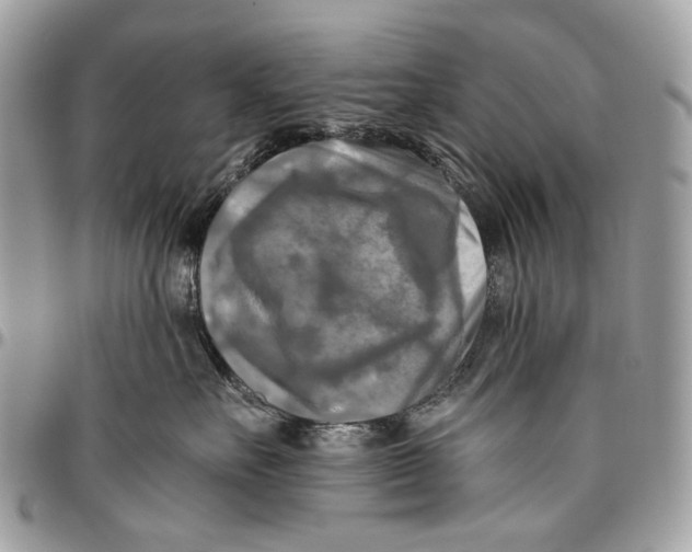 X0000096400527200802141521