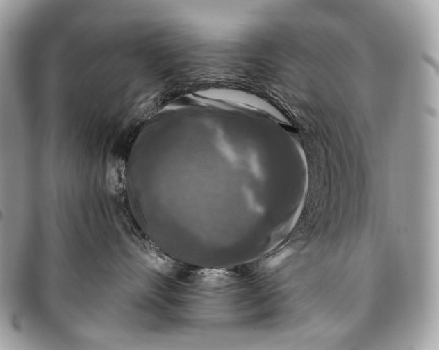 X0000096400528200802141521