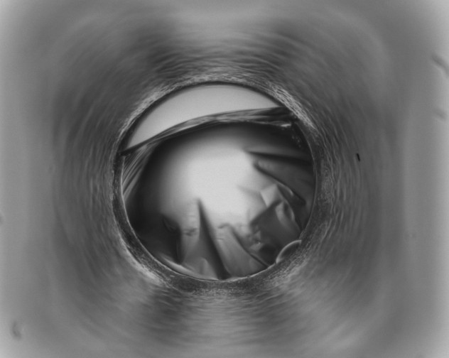 X0000096400530200802141520