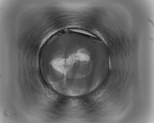 X0000096400531200802141520