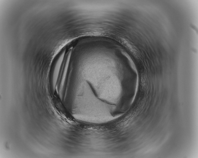 X0000096400532200802141520