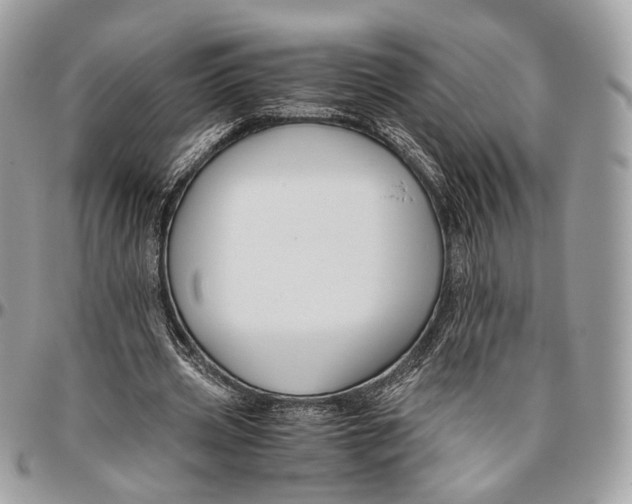 X0000096400533200802141520