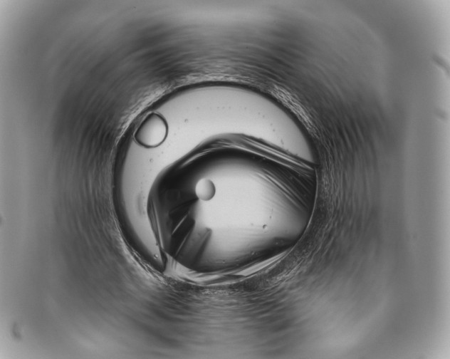 X0000096400534200802141520