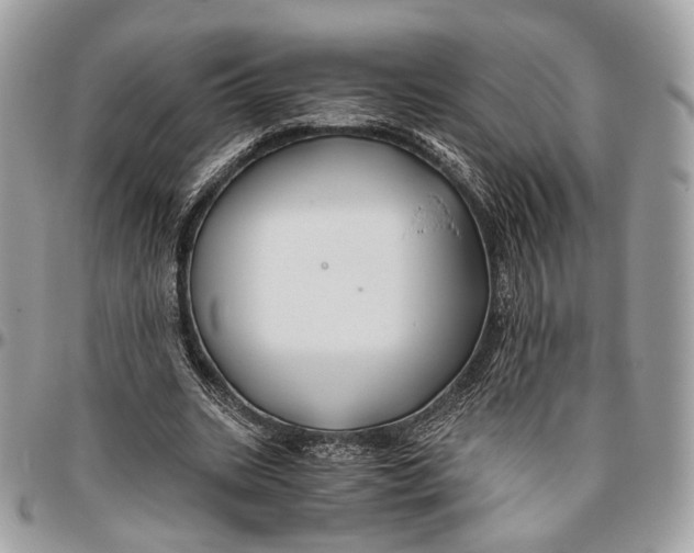 X0000096400535200802141520