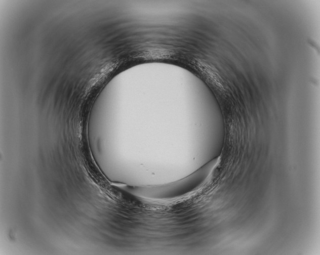 X0000096400539200802141521