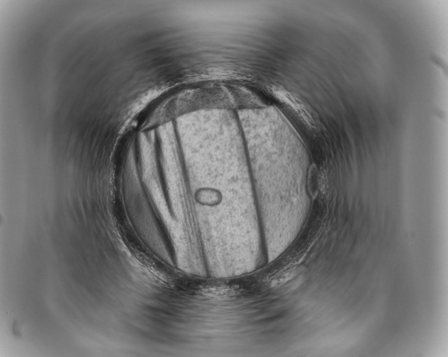 X0000096400540200802141521