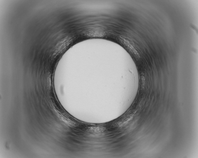 X0000096400541200802141521