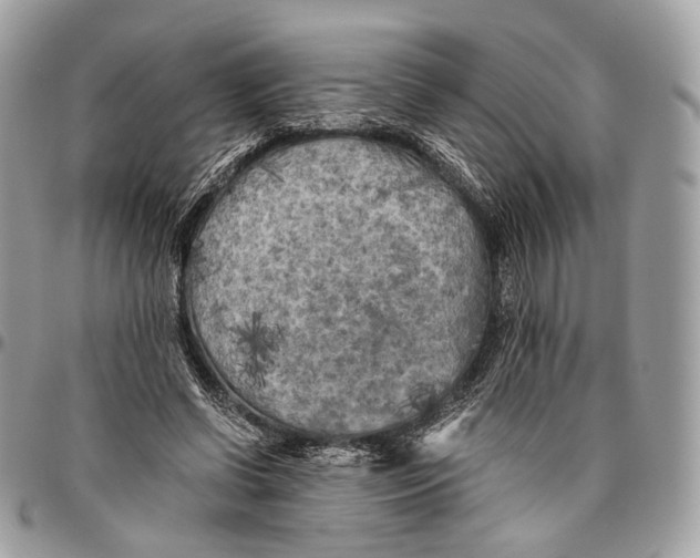 X0000096400542200802141521