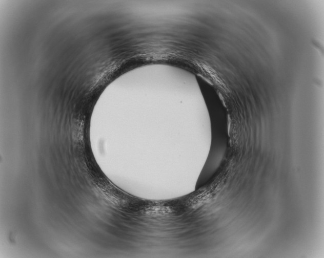 X0000096400543200802141521