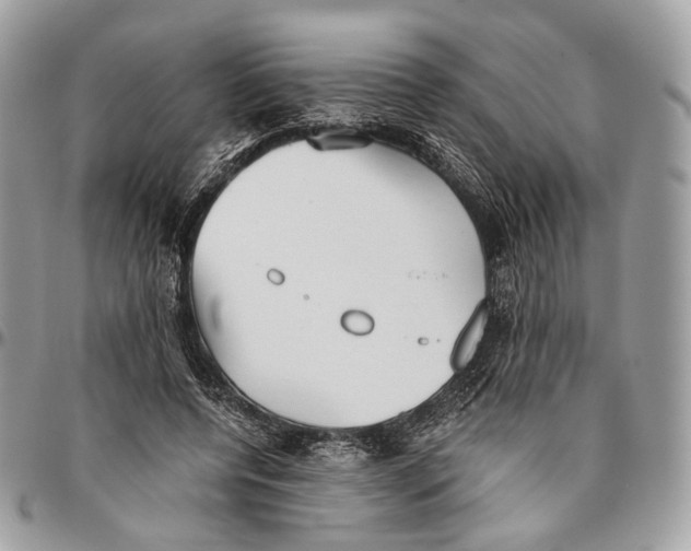 X0000096400544200802141521